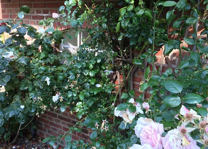 Haus Marschkueken, Vakantiehuis Wrixum